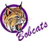 Partner school logo